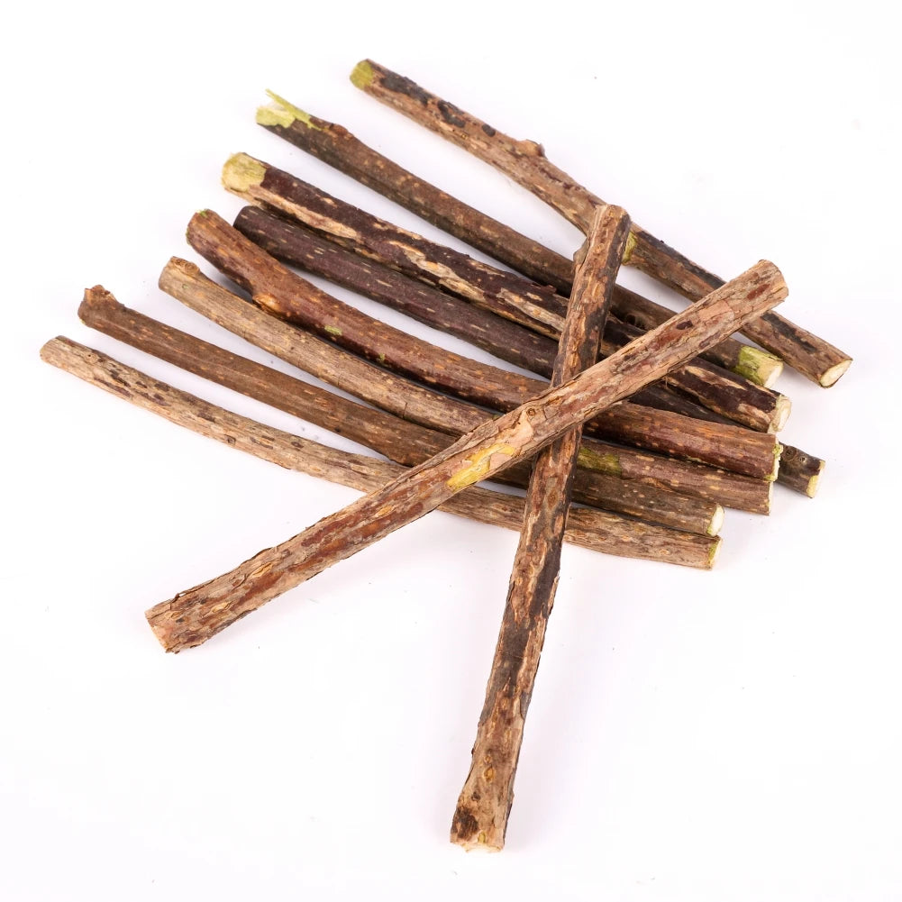 Silvervine Sticks for Cats Natural Catnip Chew Sticks