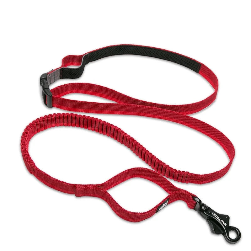 Bungee Adjust Length Elastic Leash