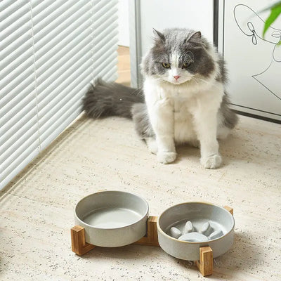 Paw Ceramic Pet Bowl Wood Stand