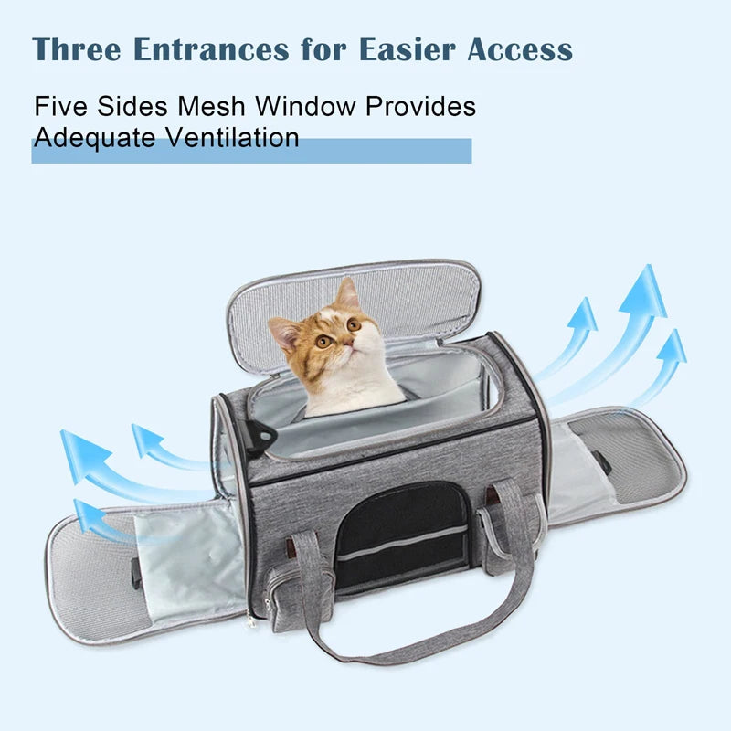 Anti-scratch Pet Carrier Travel Bag