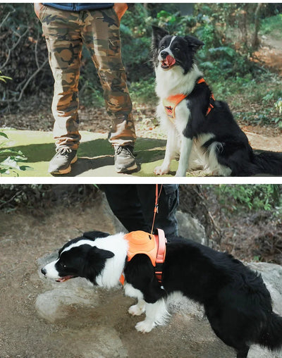 Easy Walk Dog Harnesses with Retractable Dog Leash