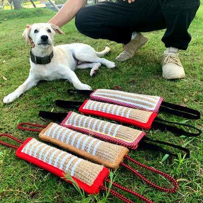 Kauspielzeug für Hunde zum Aufheben