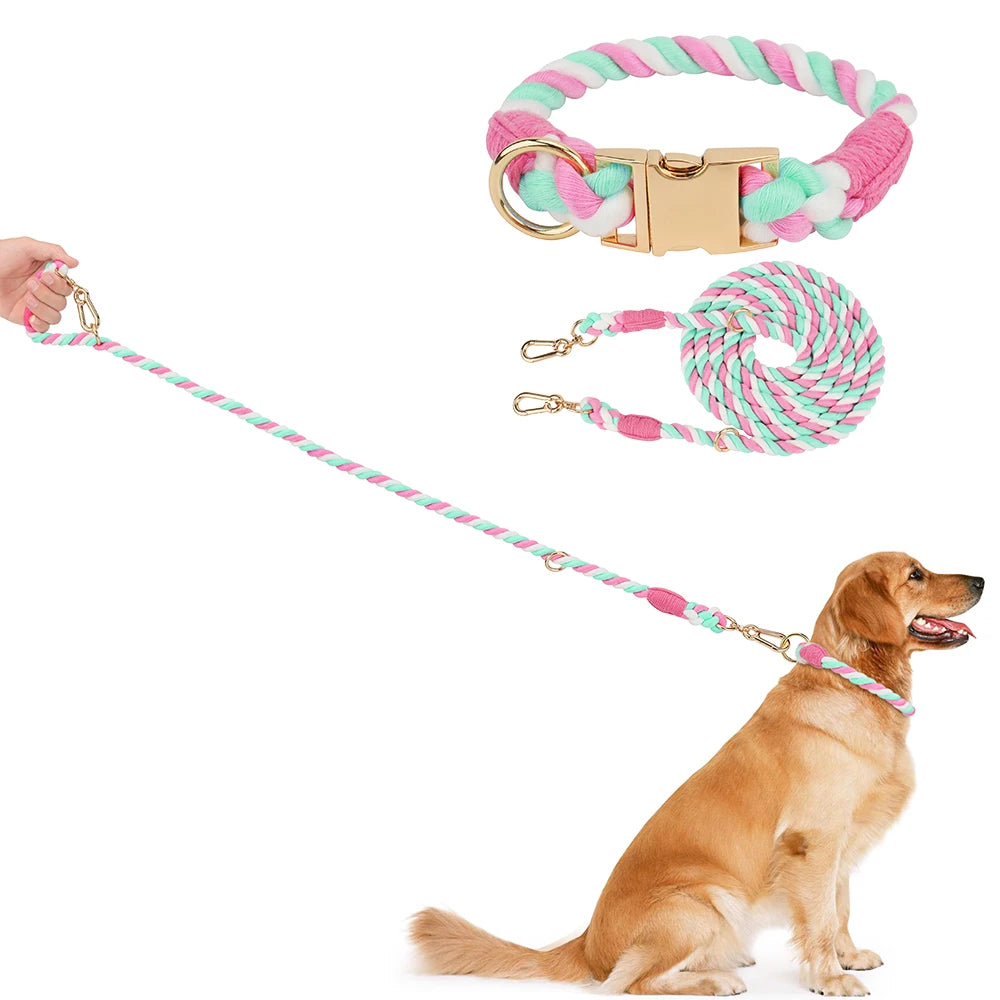 Ensemble collier et laisse pour chien Macaron