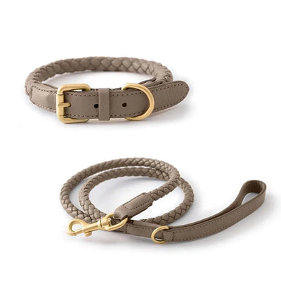 Ensemble collier et laisse pour chien en cuir de qualité supérieure, plusieurs couleurs