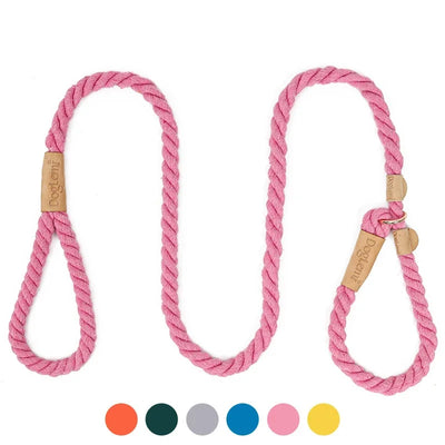 Laisse et collier pour chien de la collection Braid, une pièce