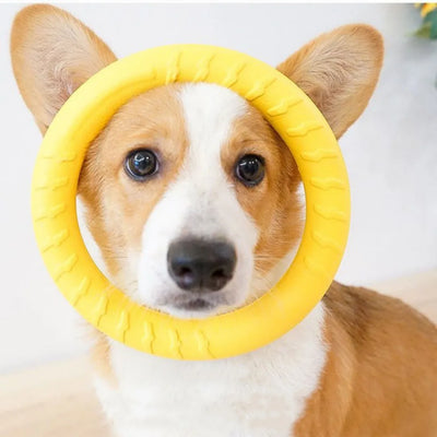 Anneau pour chien indestructible à mâcher volant flottant entraînement