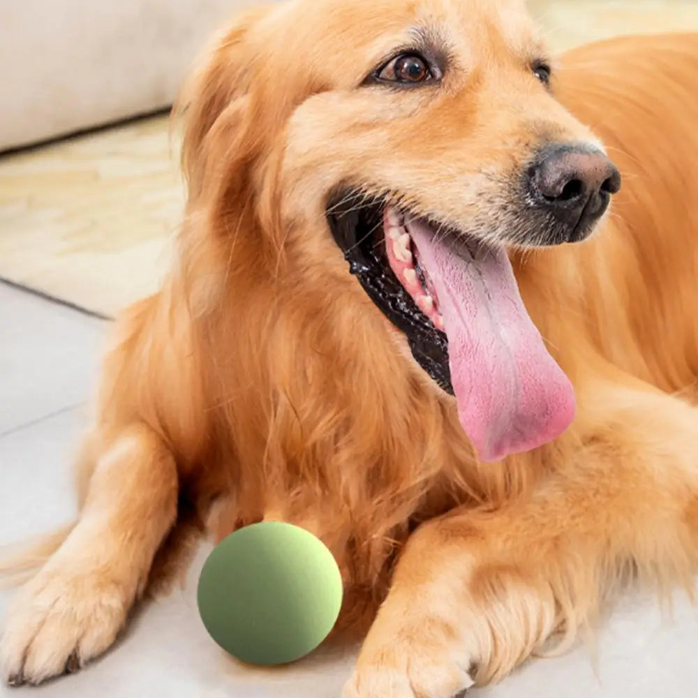 Hundespielzeug Wurfstock Handtrainingsspielzeug