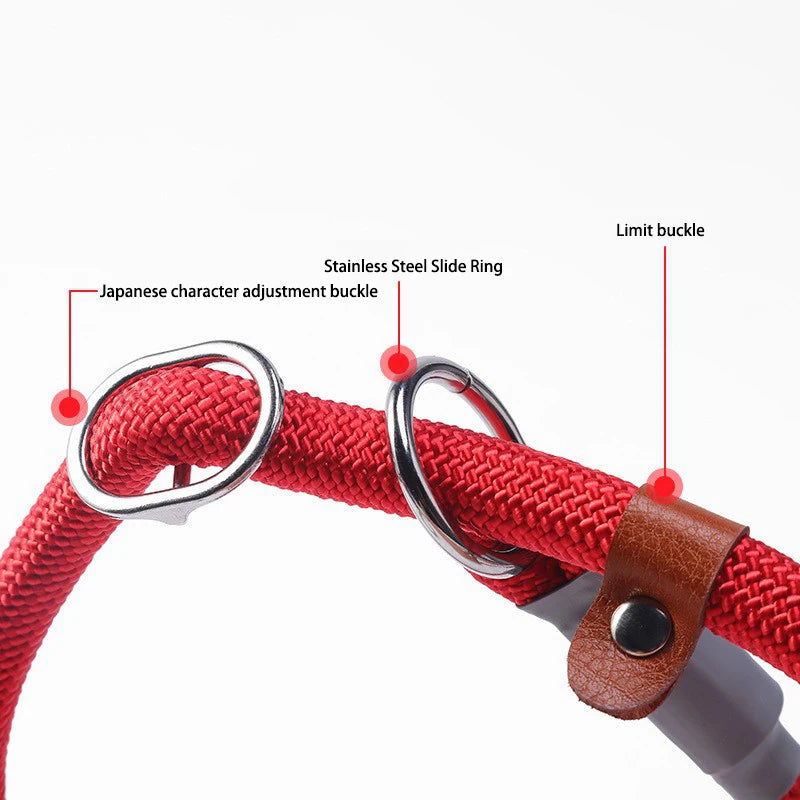 Classic Dog P Chain Collar &amp; Leash – All-in-One Solution