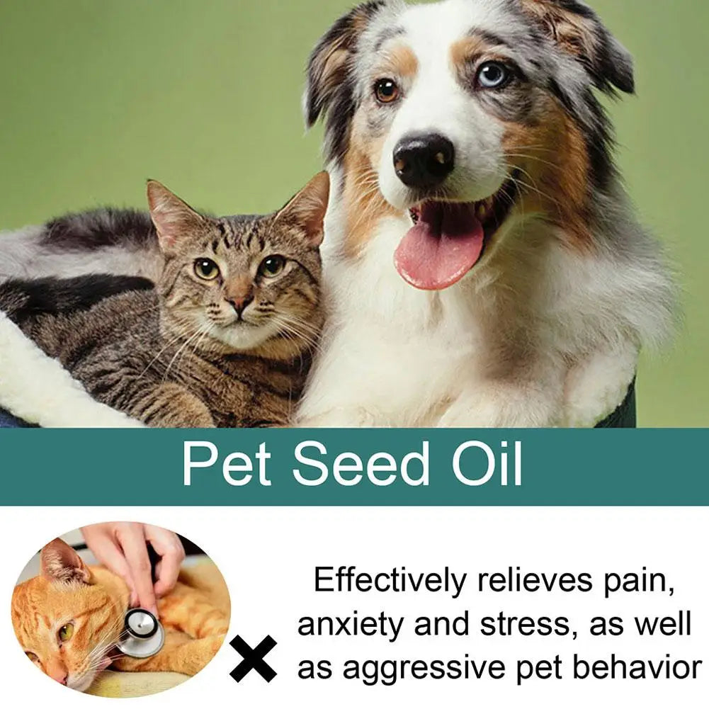 Pet Hemp Seed Oil Natural Pain and Anxiety Relief Vitamins B, C, E High Purity Nutritional Pet Oil