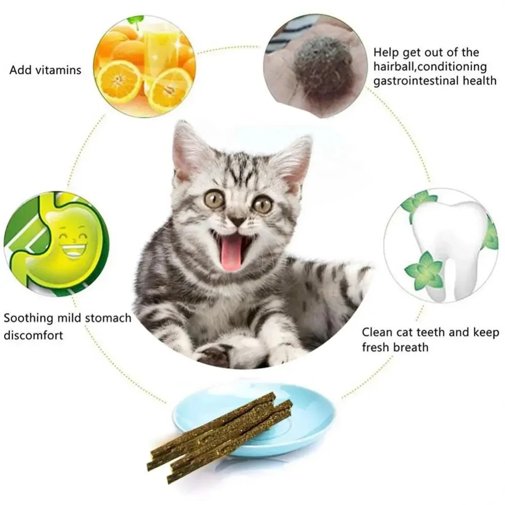 Bâton de nettoyage et de traitement naturel pour les dents à la menthe pour chat