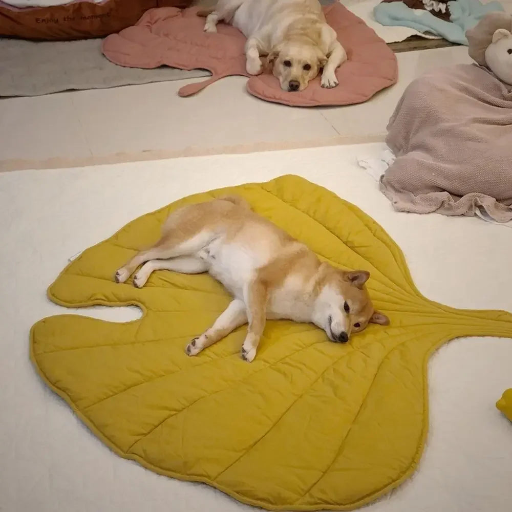 Soft Leaf Shape Pet Bed Mats