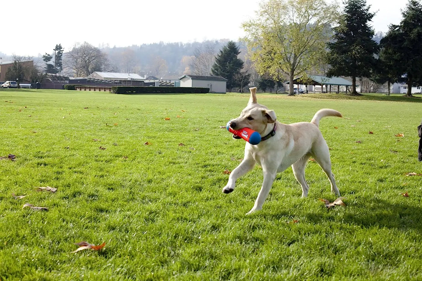 Chuckit! Amphibious Bumper Fetch and Float Dog Toy