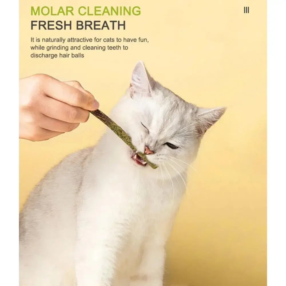 Bâton de nettoyage et de traitement naturel pour les dents à la menthe pour chat