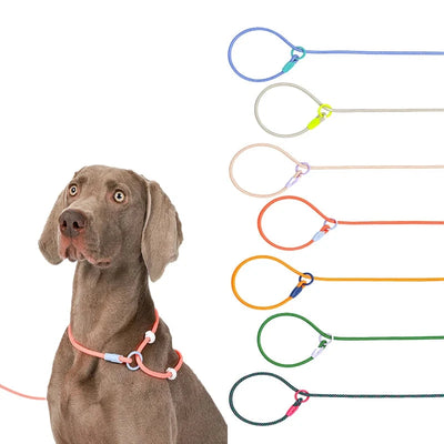 Lightweight Nylon Pet Dog Round Rope Lead P Chain Collar Adjustable 150cm