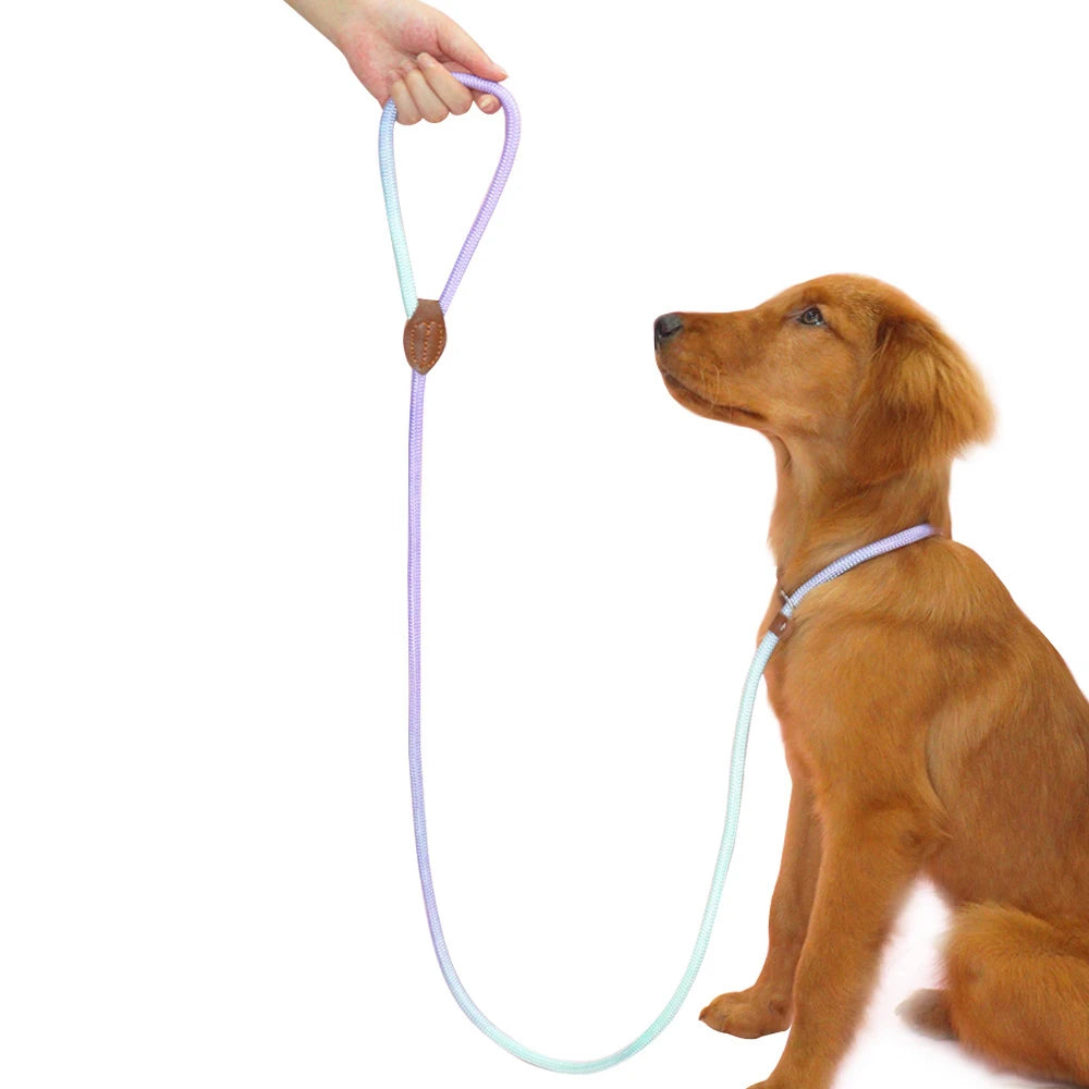 Cotton Candy Collection P Chain Dog Leash Pet Collar & Leash In One