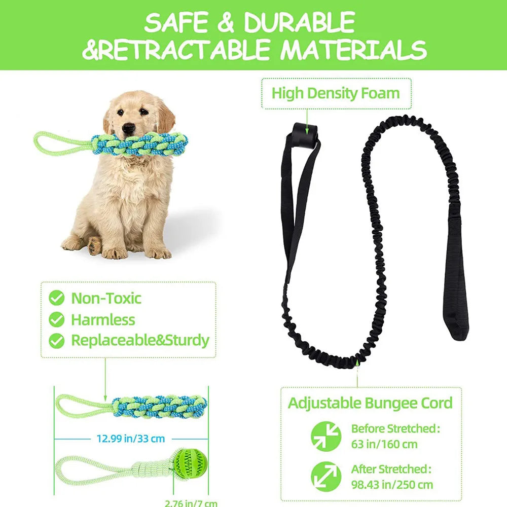 Interactive Dog Spring Rope Outdoor & Indoor Hanging