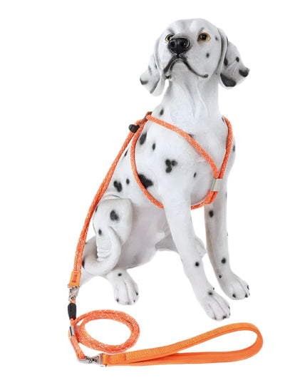 Anti-Break-Free 2in1 Dog Harness Leash