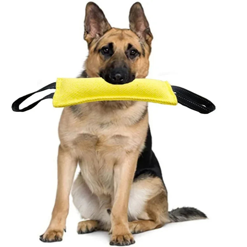 Jouet à mordre durable pour chien