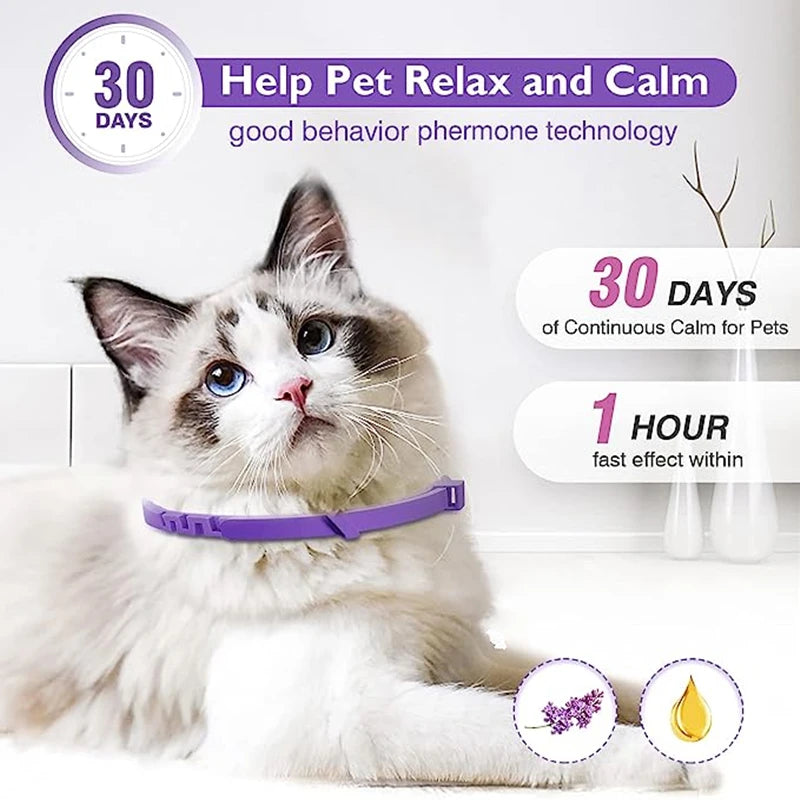 Calming Collar Cat And Dog Relieve Anxiety Protection Retractable Collars