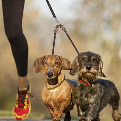 Adaptateur de laisse double en cuir pour chien Laisse double pour chien sans enchevêtrement