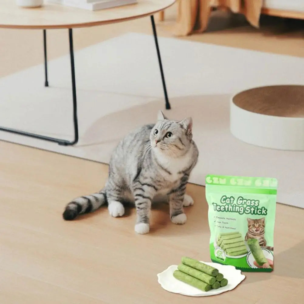 Natural Cat Grass Teeth Cleaning Stick With Catnip