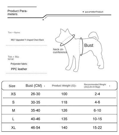 Ensemble harnais et laisse pour chien doux au toucher, solide et durable