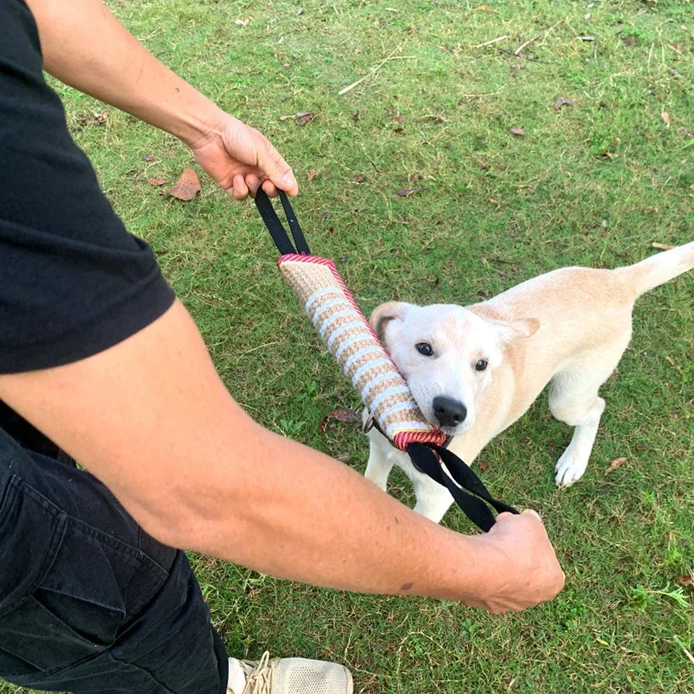 Jouets d'entraînement à mâcher pour chien Pick Up