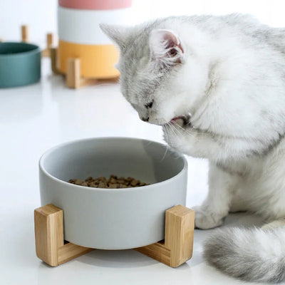 Futternapf aus Keramik für Hunde