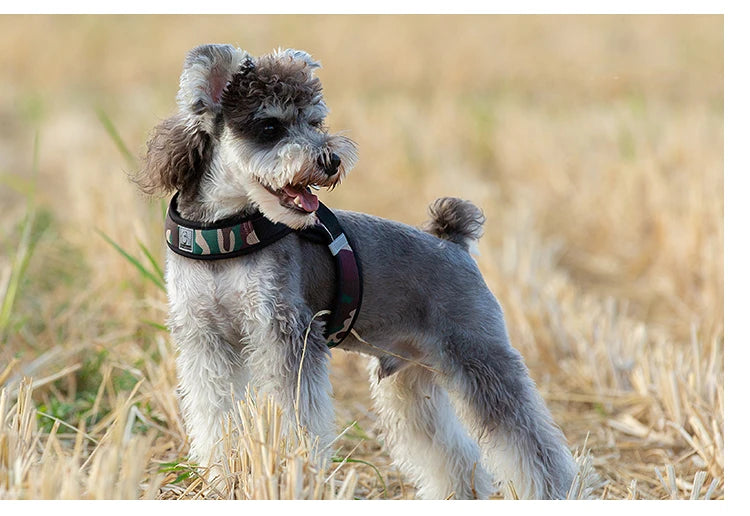 XS/ Puppy Soft Walking Vest