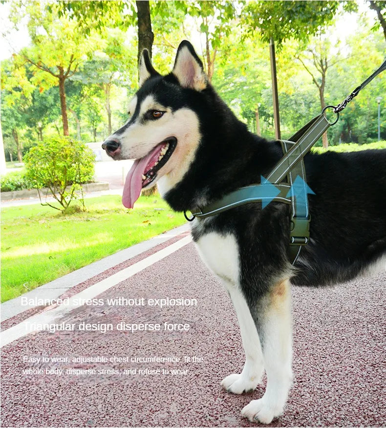 No Pull Dog Harness Reflective Vest & Leash Set