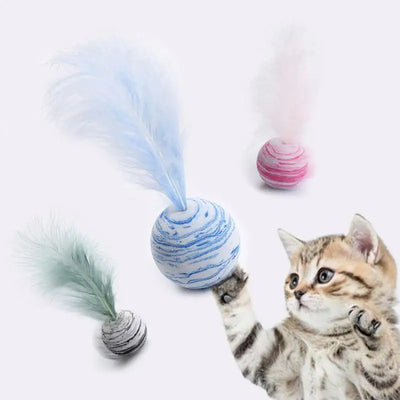 Cat Ball Feather Toy