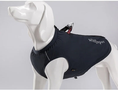 Combinaison gilet et harnais pour chien haute performance pour temps pluvieux