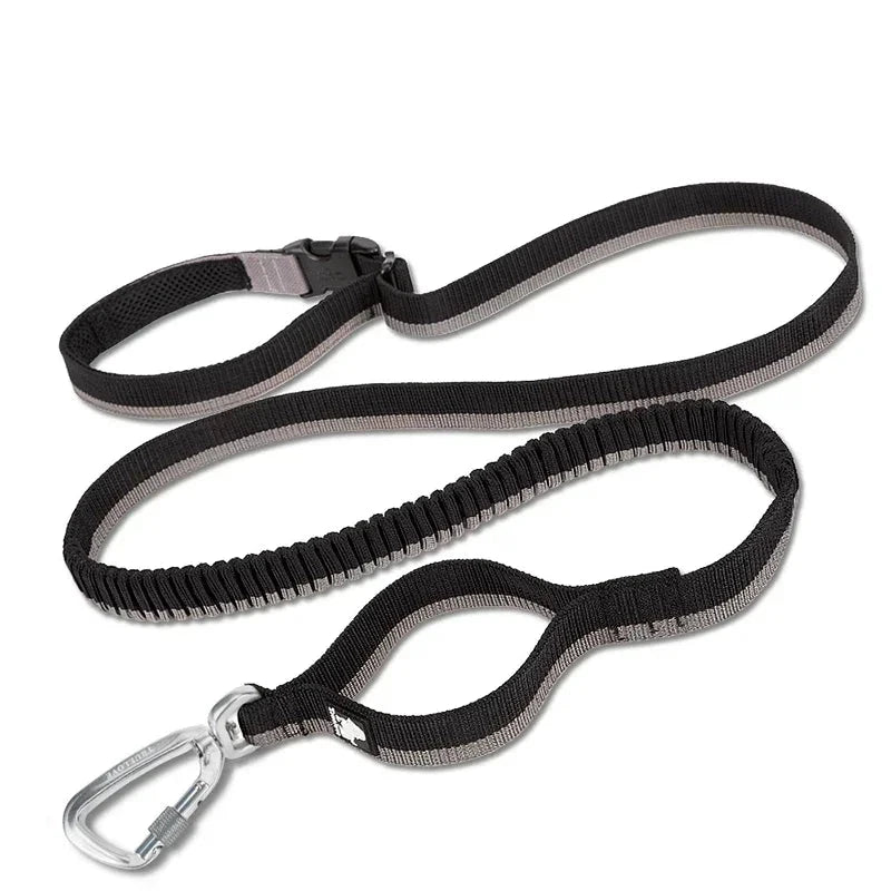 Running Bungee Leash Hands Free Dog Leash