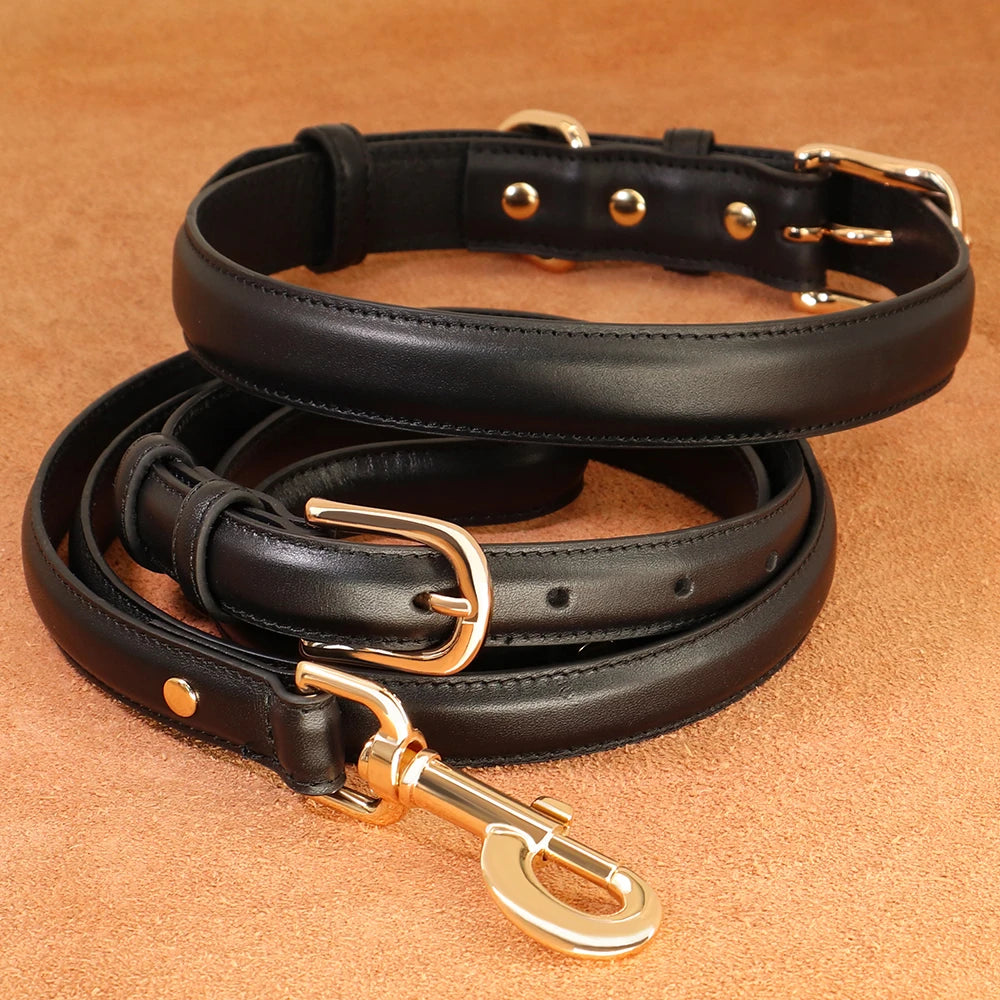 Ensemble collier et laisse en cuir classique pour chien