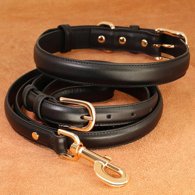 Classic Leather Dog Collar and Leash Set