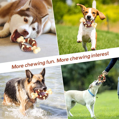 Bone Ring Chew Treat Toy Beef Flavor