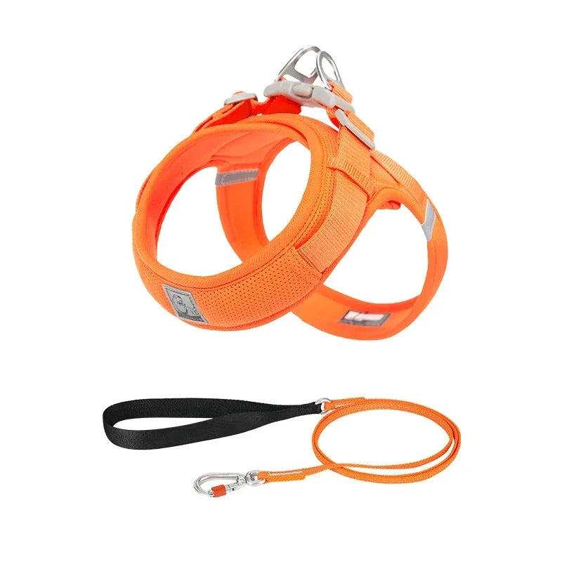 Comfy Shine Collection Lightweight Pet Leash