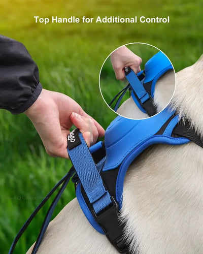 Easy Walk Dog Harnesses with Retractable Dog Leash