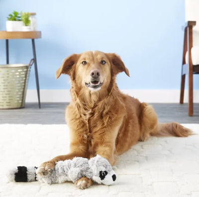 KONG Scrunch Knots Waschbär-Hundespielzeug